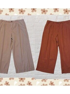 2 pairs of wide leg pants, elastic waist, pleated front, Sz. 1X